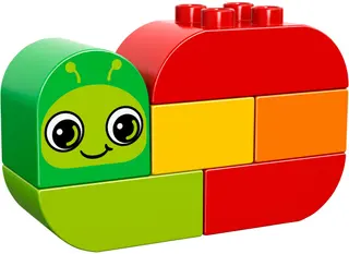 Snail