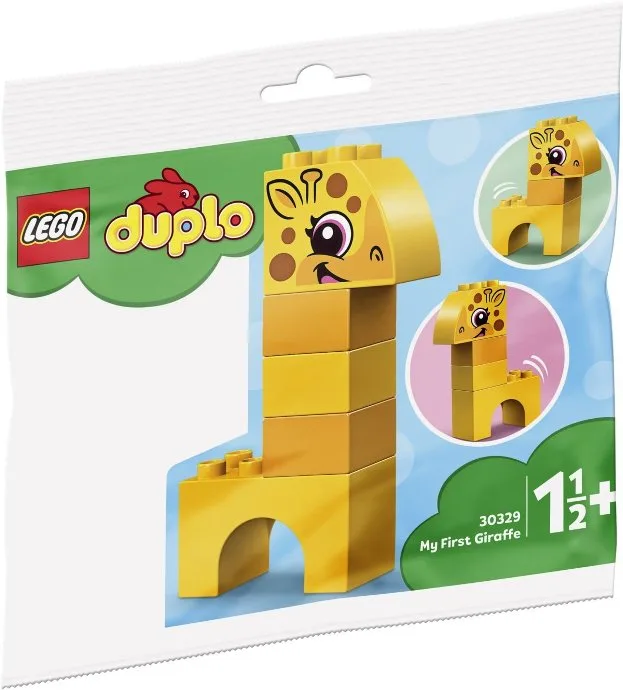 Meine erste Giraffe