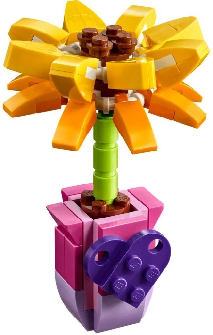 Freundschaftsblume