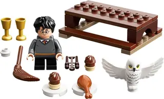 Harry Potter und Hedwig: Eulenlieferung