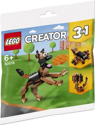 German Shepherd