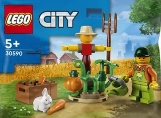Boerderijtuin & Vogelverschrikker