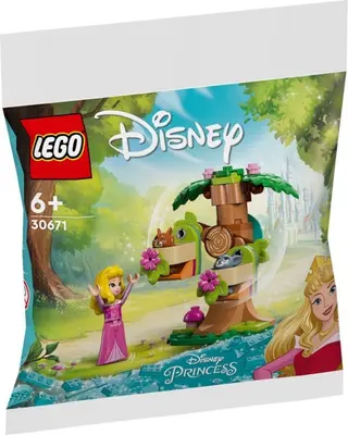 L'aire de jeux de la forêt d'Aurora