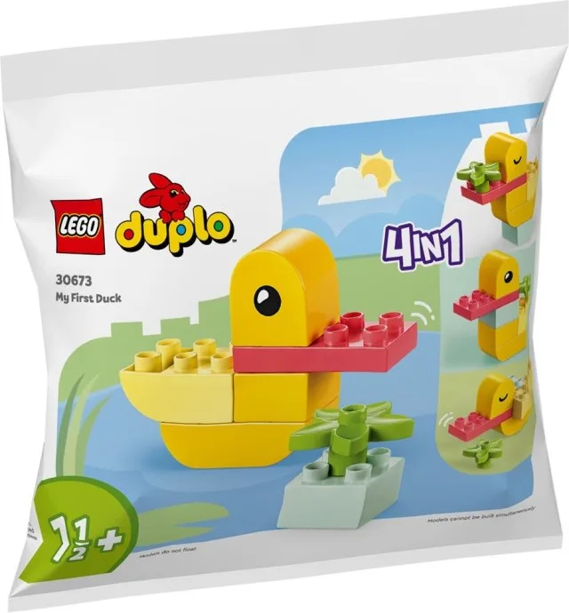 Mijn eerste eend