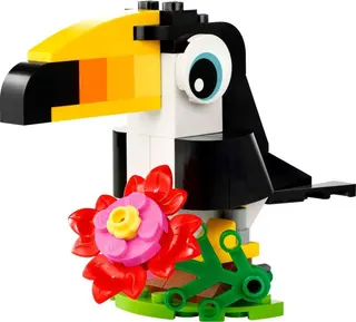 Toucan tropical