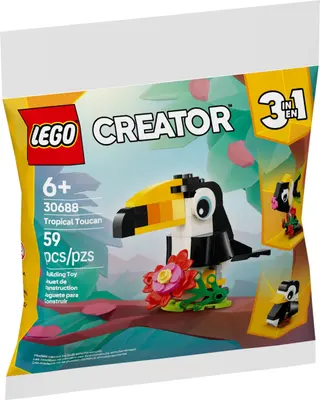 Toucan tropical
