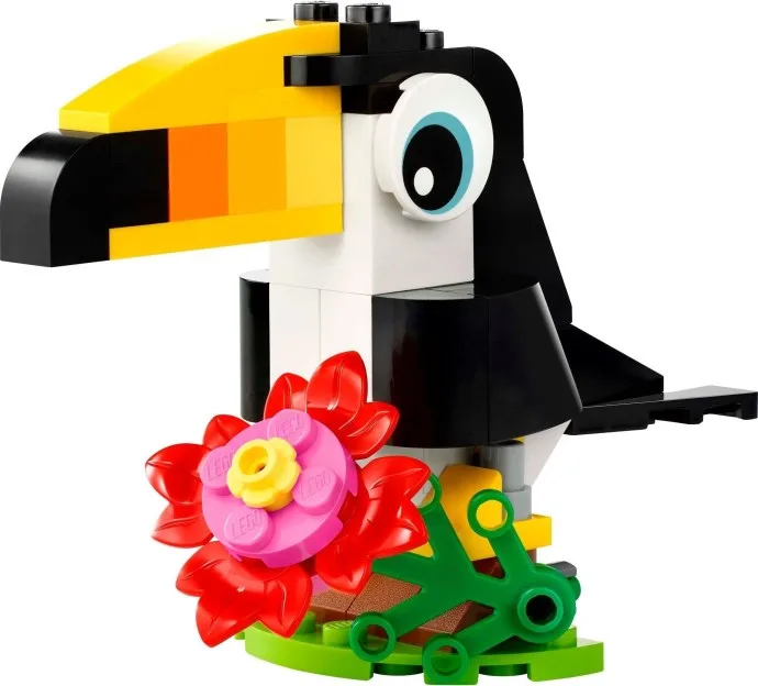 Toucan tropical