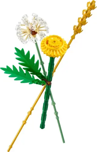 Fleurs des champs