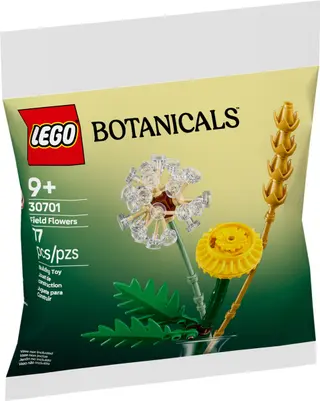 Fleurs des champs