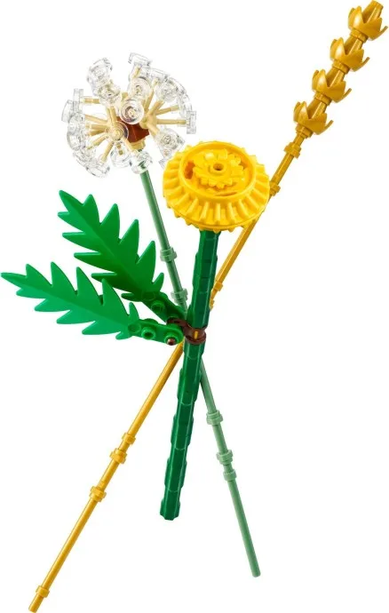 Fleurs des champs