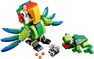 Rainforest Animals