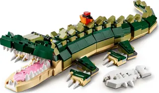 Crocodile