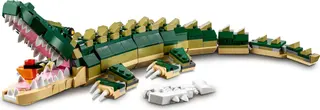 Crocodile