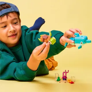 Delfin und Schildkröte