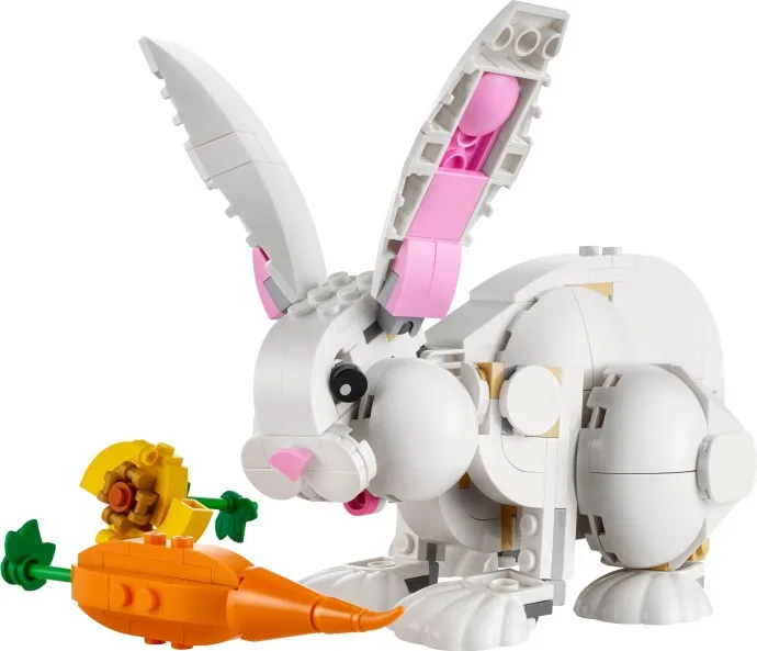 Lapin blanc