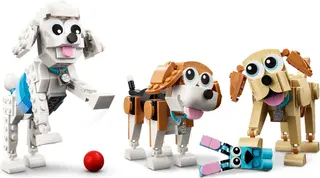 Schattige honden