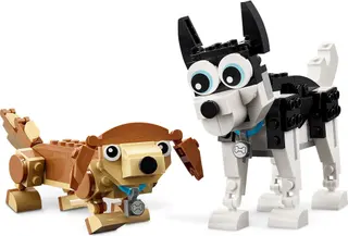 Schattige honden