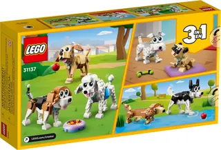 Schattige honden