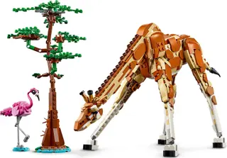 Wild Safari Animals