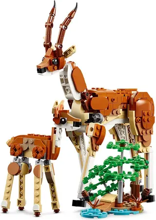 Wild Safari Animals