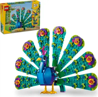 Paon exotique