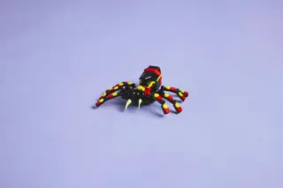 Verrassende spin