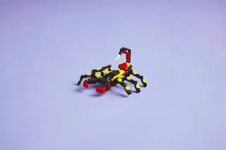 Verrassende spin