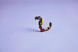 Verrassende spin