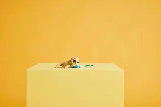 Schattig konijntje