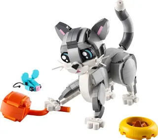 Verspielte Katze
