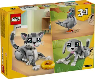 Verspielte Katze