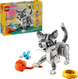 Verspielte Katze