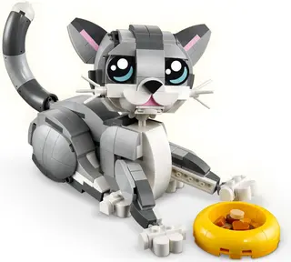Verspielte Katze