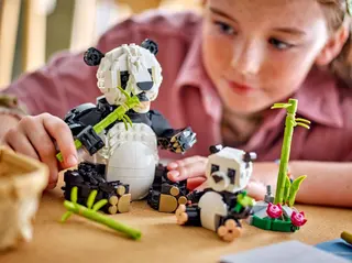 Pandafamilie
