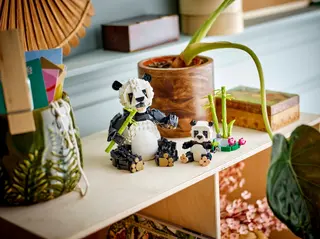 Pandafamilie