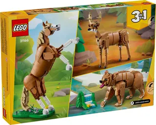 Schönes Pferd