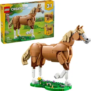 Schönes Pferd
