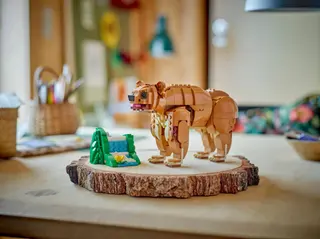 Schönes Pferd