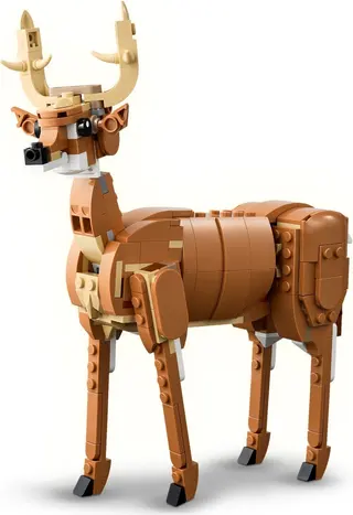 Schönes Pferd