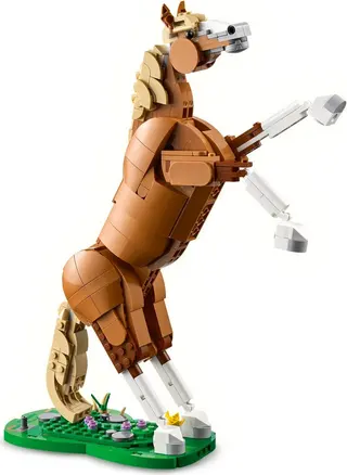 Schönes Pferd