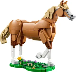 Schönes Pferd