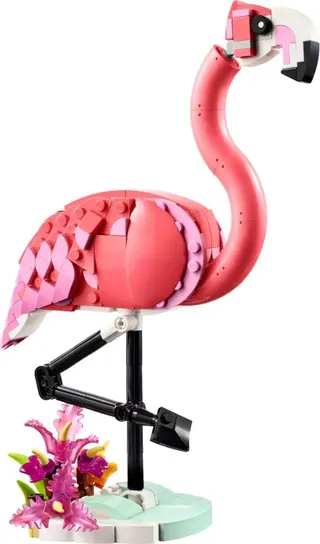 Flamant rose