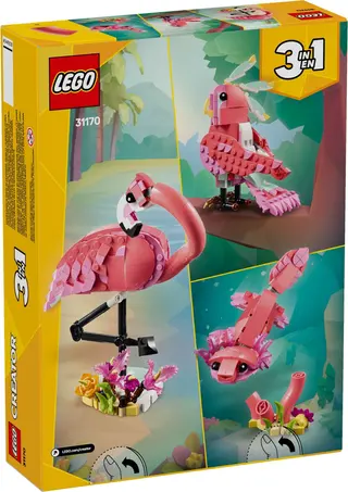 Flamant rose