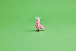 Flamant rose