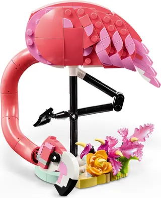 Flamant rose