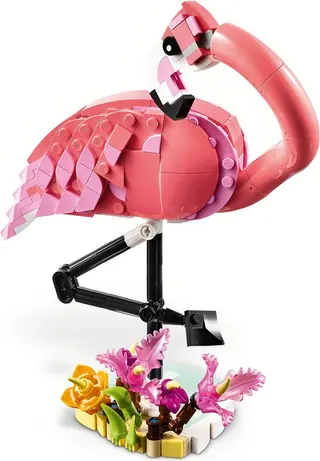 Flamant rose