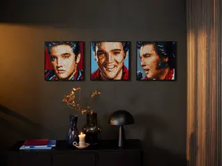 Elvis Presley 'De Koning'