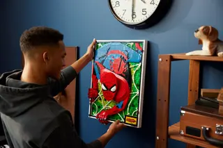 L'incroyable Spider-Man