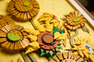 Vincent van Gogh – Sonnenblumen