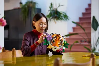 Tijger